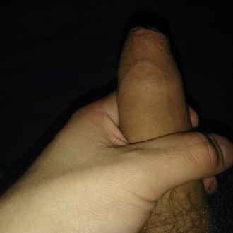 bite de 21cm cherche chatte pour rencontre coquine